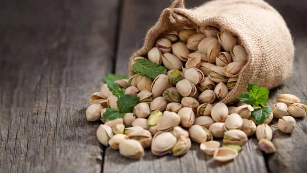 آموزش و مشاوره باغداری پسته با میرال ارگانیک